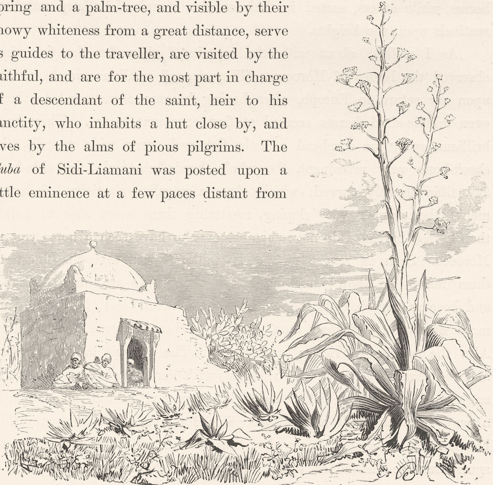 MOROCCO. The Cuba of Sidi-Liamani 1882 old antique vintage print picture